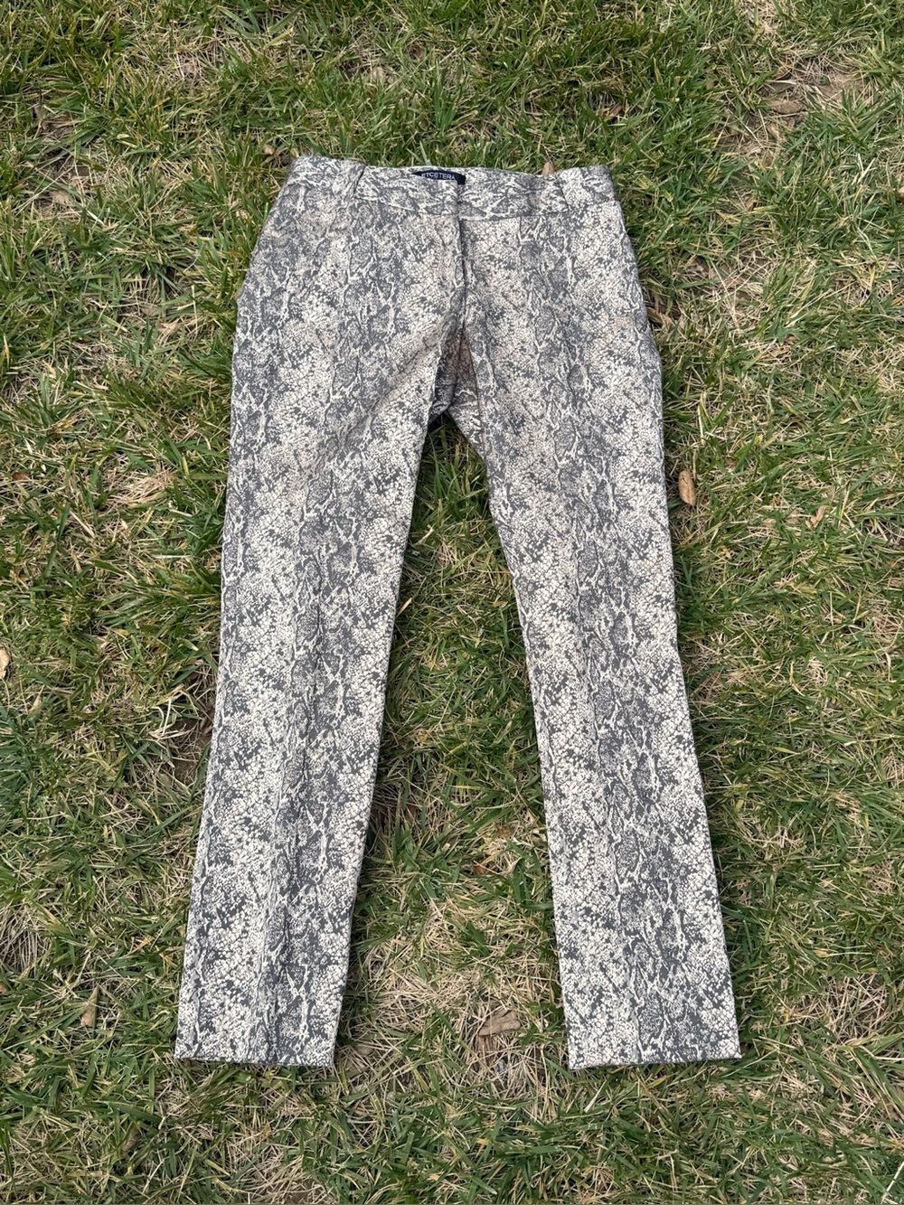 Etcetera "Murray" snakeskin pattern metallic "Liz Fit" pants - size 2